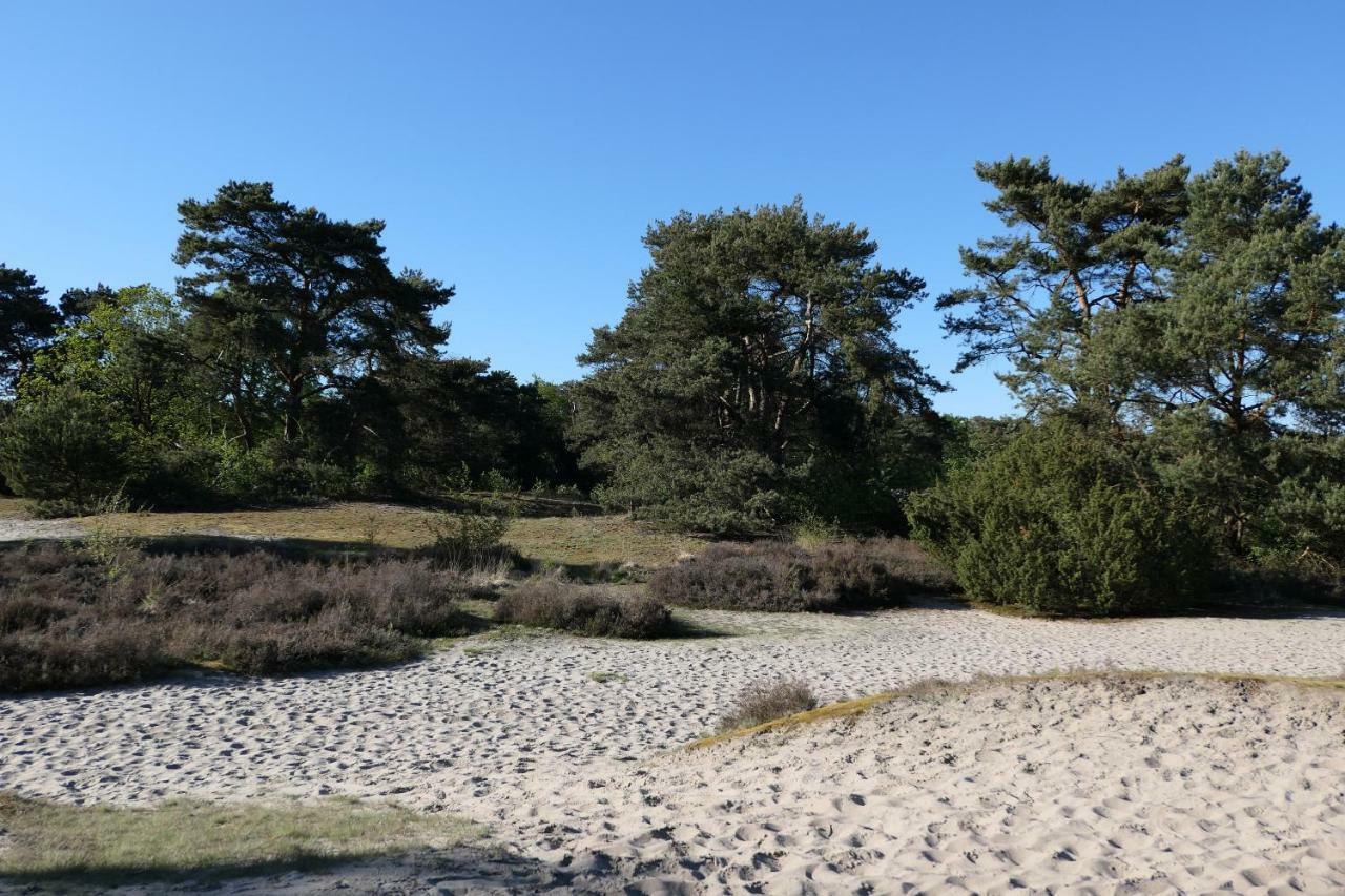 Erve Eshuus Daarle Villa Exteriör bild